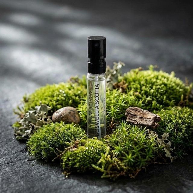 Jorum Studio Boswellia Scotia discovery sample photographed for The Oakmoss & Ivy review